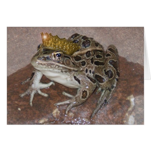 Frog Prince Hälsningskort (Framsidan Horizontal)