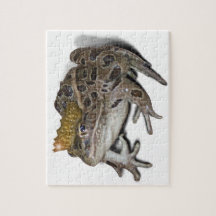 Frog Prince (lägg till texten)