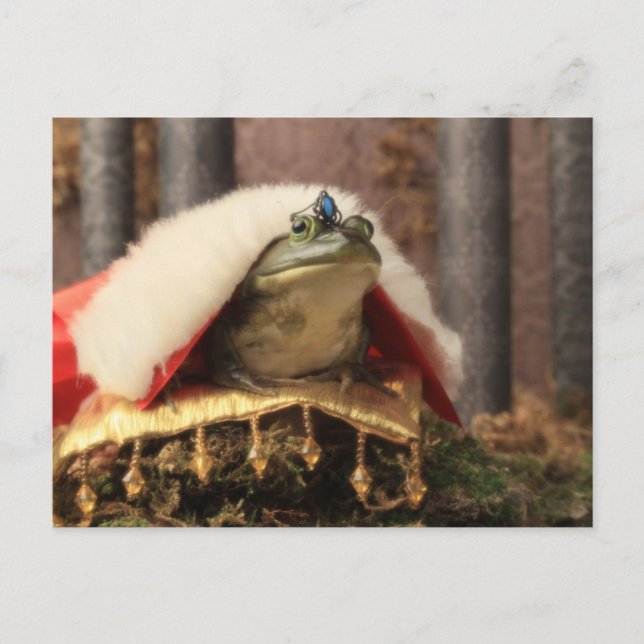 Frog Prince Vykort (Framsida)