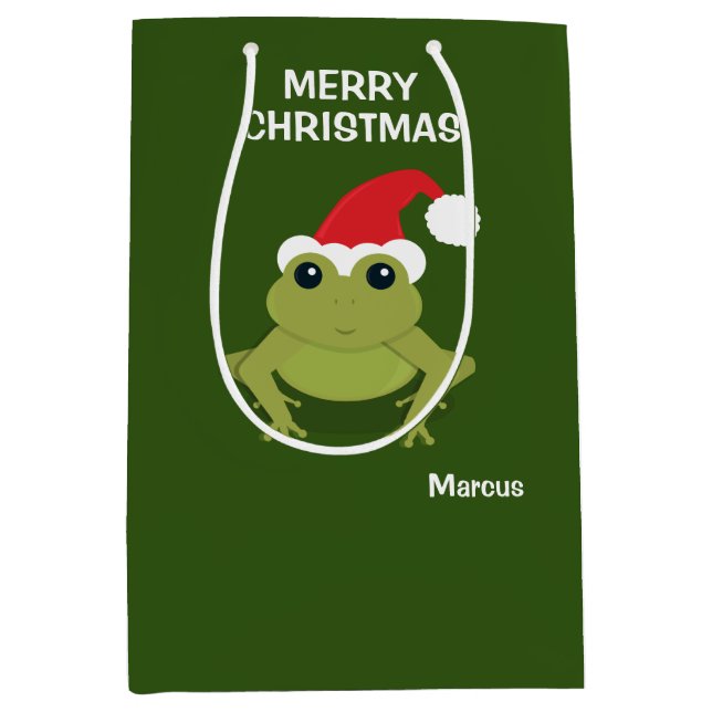 Frog Santa Hat-julen (Framsidan)