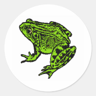 Frog Sticker Runt Klistermärke