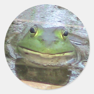 Frog Sticker Runt Klistermärke