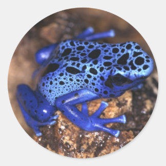 Frog Sticker Runt Klistermärke