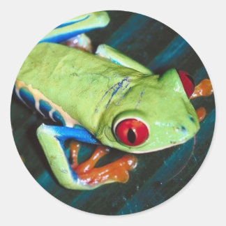 Frog Sticker Runt Klistermärke