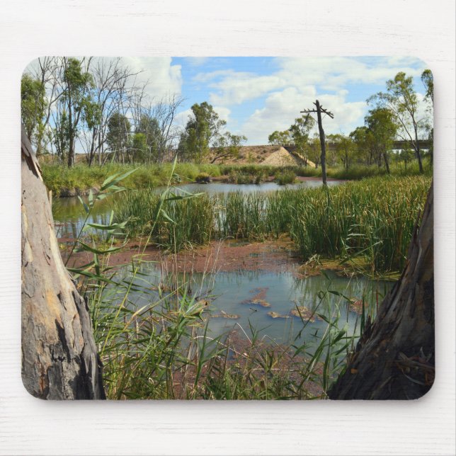 Frog_swap_Paradise,_ Musmatta (Framsidan)