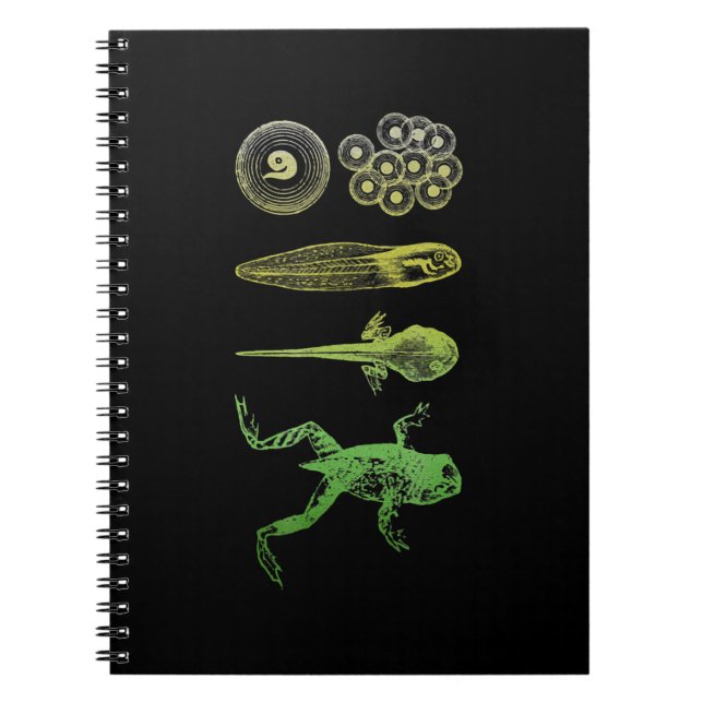 Frog Tadpole Metamorfosis Life Cycle Biology Anteckningsbok (Framsidan)