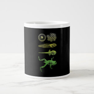 Frog Tadpole Metamorfosis Life Cycle Biology Jumbo Mugg