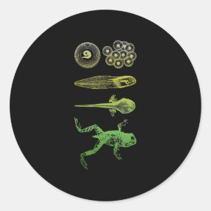 Frog Tadpole Metamorfosis Life Cycle Biology Runt Klistermärke