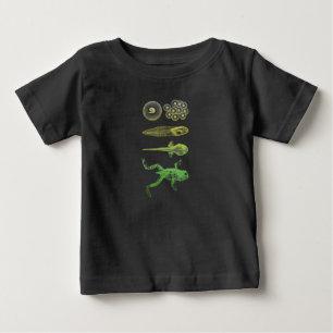 Frog Tadpole Metamorfosis Life Cycle Biology T Shirt