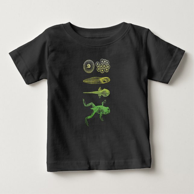 Frog Tadpole Metamorfosis Life Cycle Biology T Shirt (Framsida)