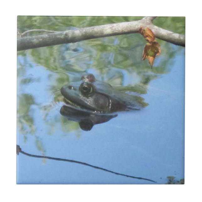 Frog Tile Kakelplatta (Framsidan)