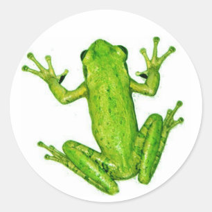 Frog Tropical Rainforest Träd Frog Sticker Art Runt Klistermärke