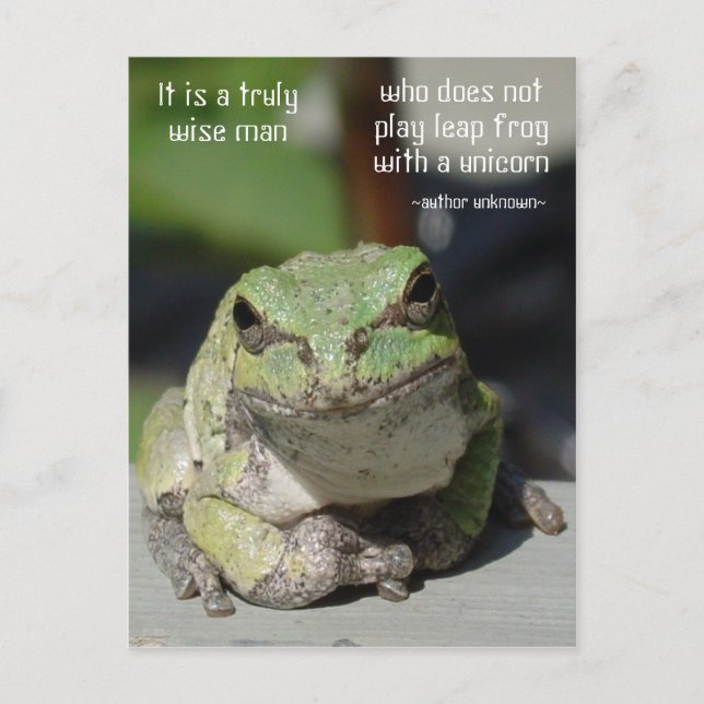 Frog & Unicorn Vykort (Framsida)