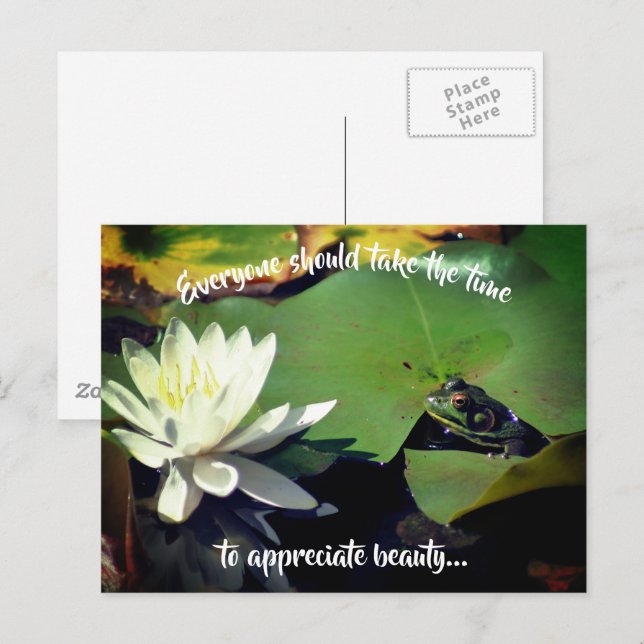 Frog Vatten Lily Beauty Inspirational Vykort (Fram/baksida)