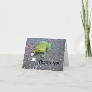 Froggie tackkort