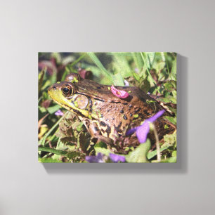 Froggy Canvastryck