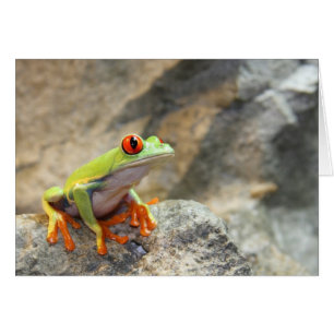 Froggy Hälsningskort