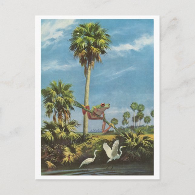 Froggy-sökning - inbjudan vykort (Framsida)