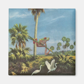 Froggy-sökning - magnet