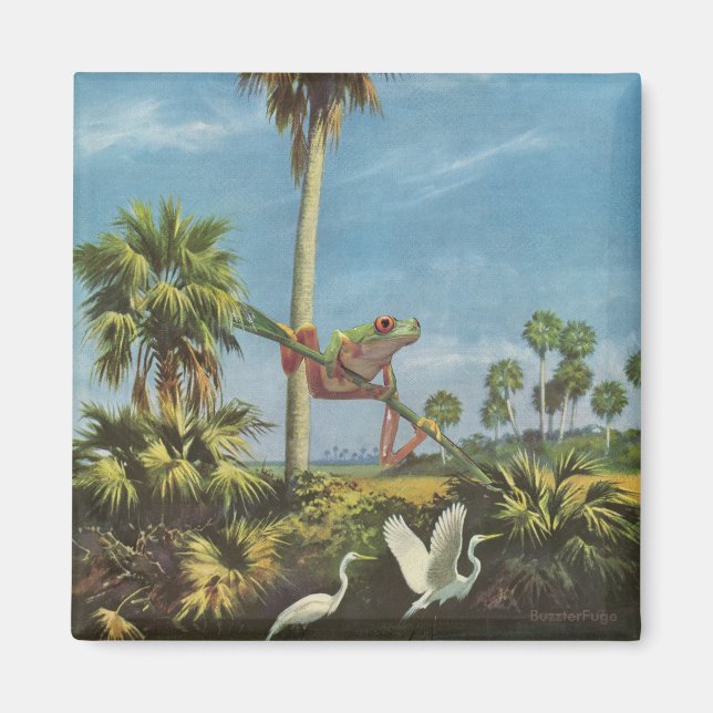 Froggy-sökning - magnet (Framsidan)