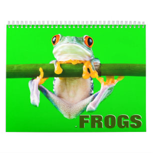 Frogs 2022 Wall Calendar Kalender