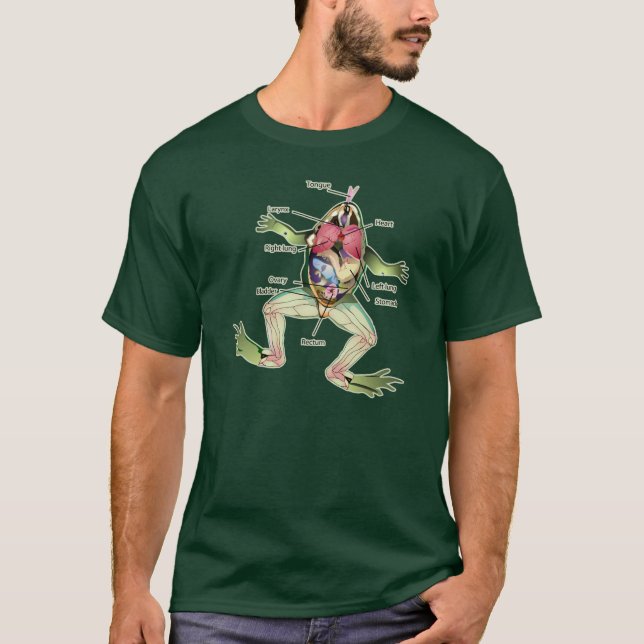 Frogs anatomgrafik tee (Framsida)