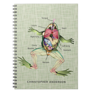 Frogs anatomi-Personlig Anteckningsbok