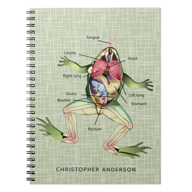 Frogs anatomi-Personlig Anteckningsbok (Framsidan)