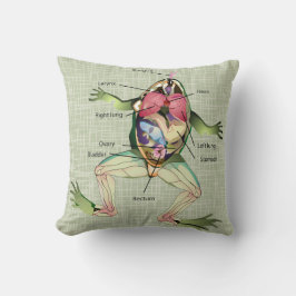 Frogs anatomibild kudde