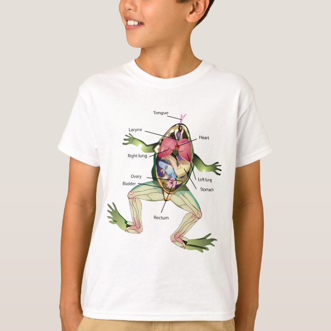 Frogs anatomiillustration Teckning T Shirt (Framsida)