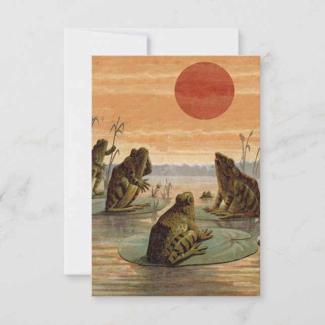 Frogs Lily Dynors Måne Illustration (Framsida)