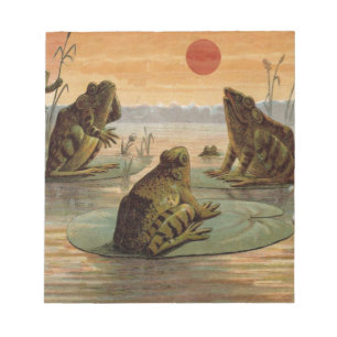 Frogs Lily Dynors Måne Illustration Anteckningsblock