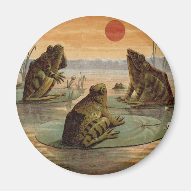 Frogs Lily Dynors Måne Illustration Magnet (Framsidan)