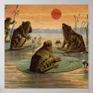 Frogs Lily Dynors Måne Illustration Poster