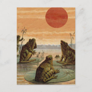 Frogs Lily Dynors Måne Illustration Vykort