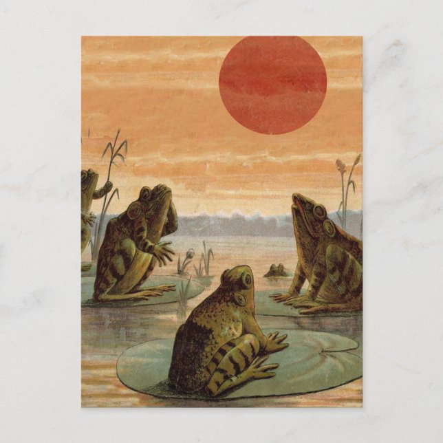 Frogs Lily Dynors Måne Illustration Vykort (Framsida)