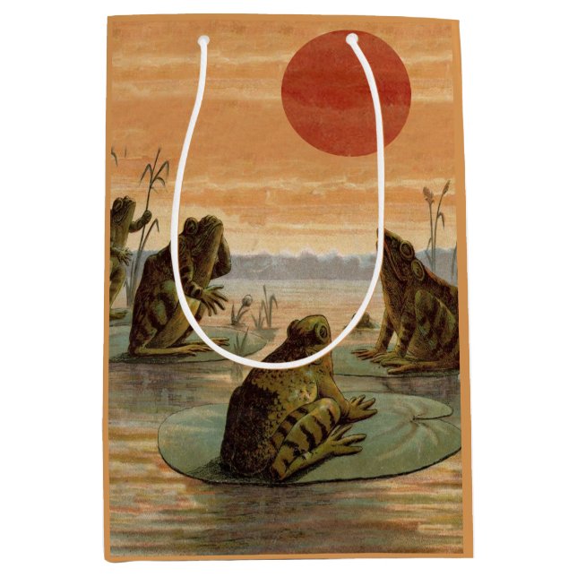 Frogs Lily Pads Moon Illustration (Framsidan)