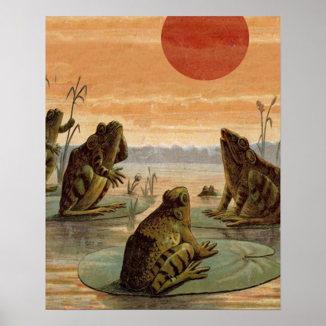 Frogs Lily Pads Moon Illustration Poster (Framsidan)