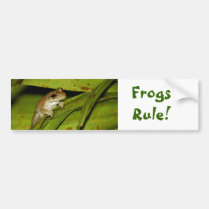 Frogs Regel Bumper Sticker Bildekal