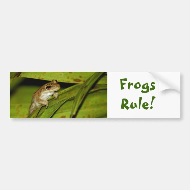Frogs Regel Bumper Sticker Bildekal (Framsidan)