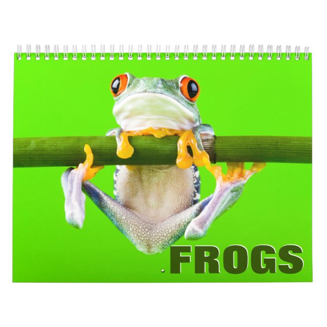 Frogs Wall Calendar Kalender (Omslag)