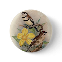 Frohawk - Bichenos Finch & körsbärFinch