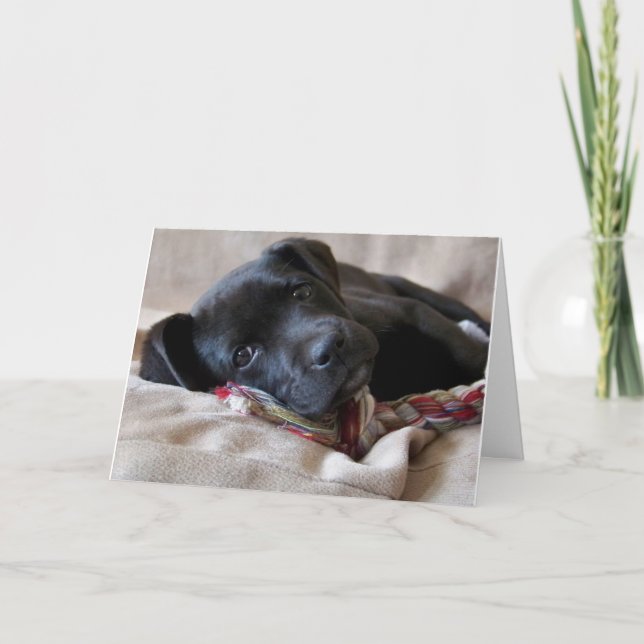 Fröken dig! kort (Framsida)