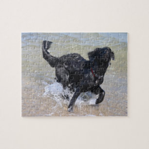 Frolickande Hund Svart Labrador Splash i Vatten Pussel