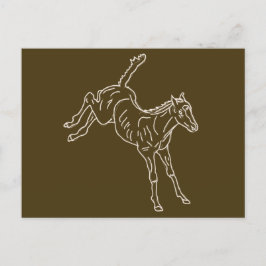 Frolicking Horse Foal - transparent linje. Vykort