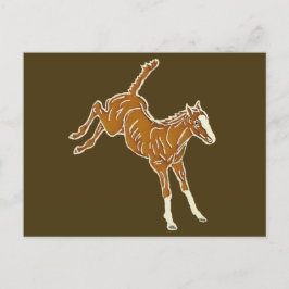 Frolicking Horse Foal - transparent multi-färg. Vykort