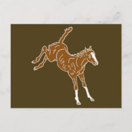 Frolicking Horse Foal - transparent uni-färg. Vykort