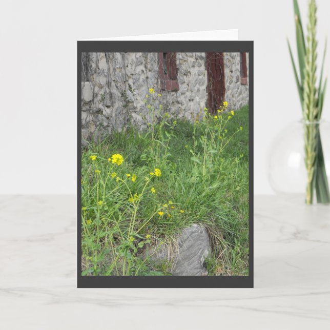 . .from föräldern. 3 helgkort (Framsida)