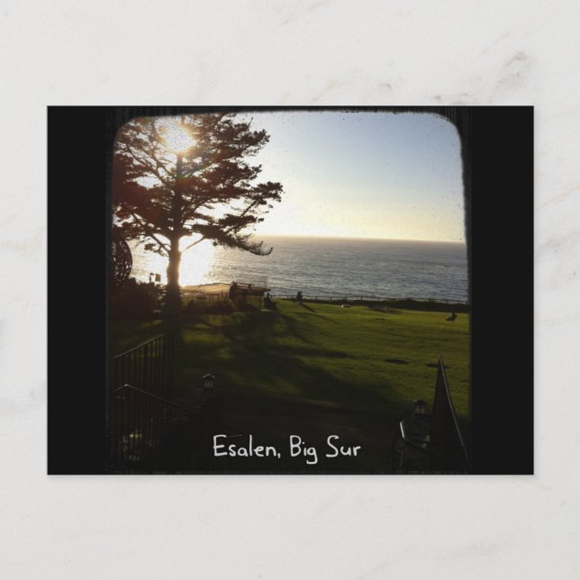 Front gräsmatta vid Esalen, Big Sur Vykort (Framsida)
