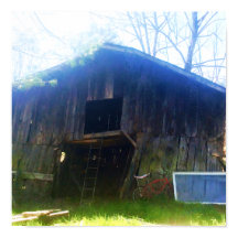 Front View a rustic 100-year old lada Poster